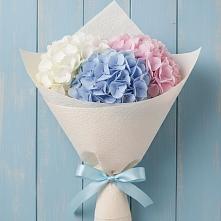 Букет цветов из:  Гортензия в Кизнер