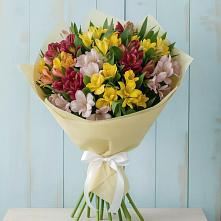 Букет цветов из:  Альстромерии в Кизнер