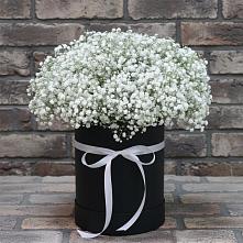 Цветочная композиция из Гипсофила в шляпной коробке #REPLACE_PRED# Кизнер