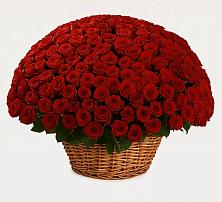 Премиум букет из: Розы #REPLACE_PRED# Кизнер